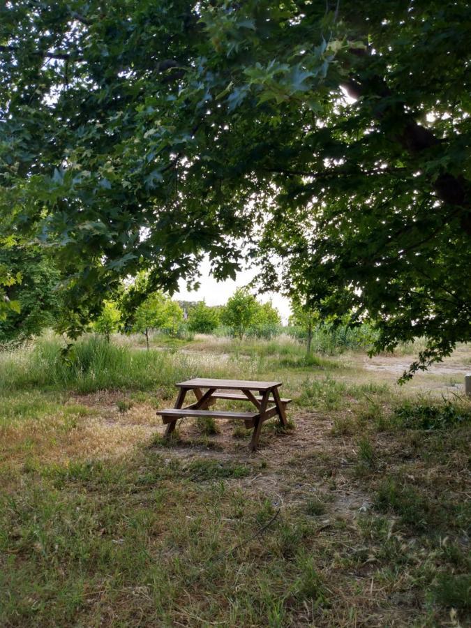 My Sunny Low Home Patras Luaran gambar
